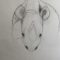 "Why not a rhinoceros". Making of (detail). Graphit on paper, 155 x 260 cm, 2021