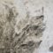 "Why not a rhinoceros". Close up. Graphit on paper and wax, 2021
