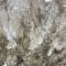 Why not a rhinoceros. Detail. Graphit on paper and wax, 2021